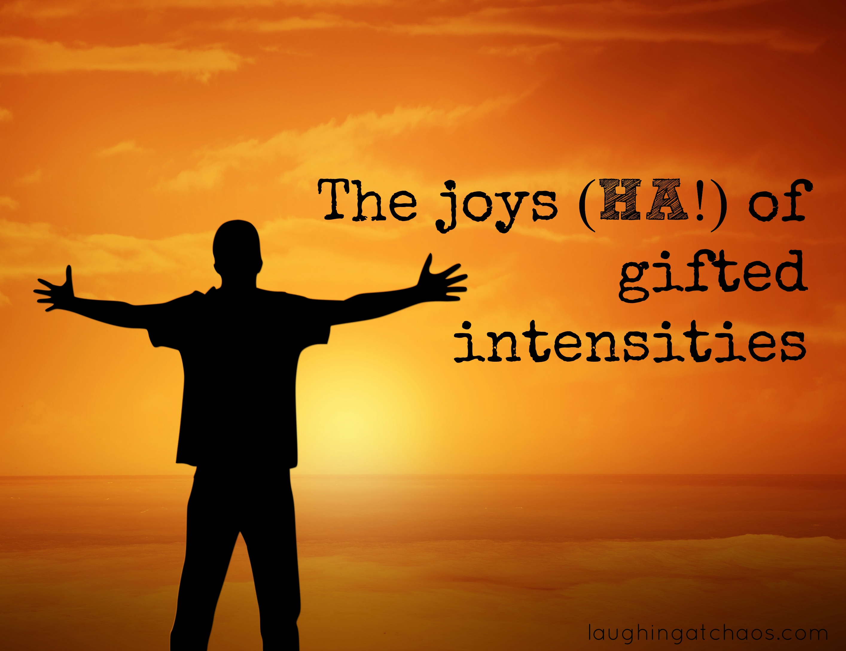 The joys (HA!) of gifted intensities