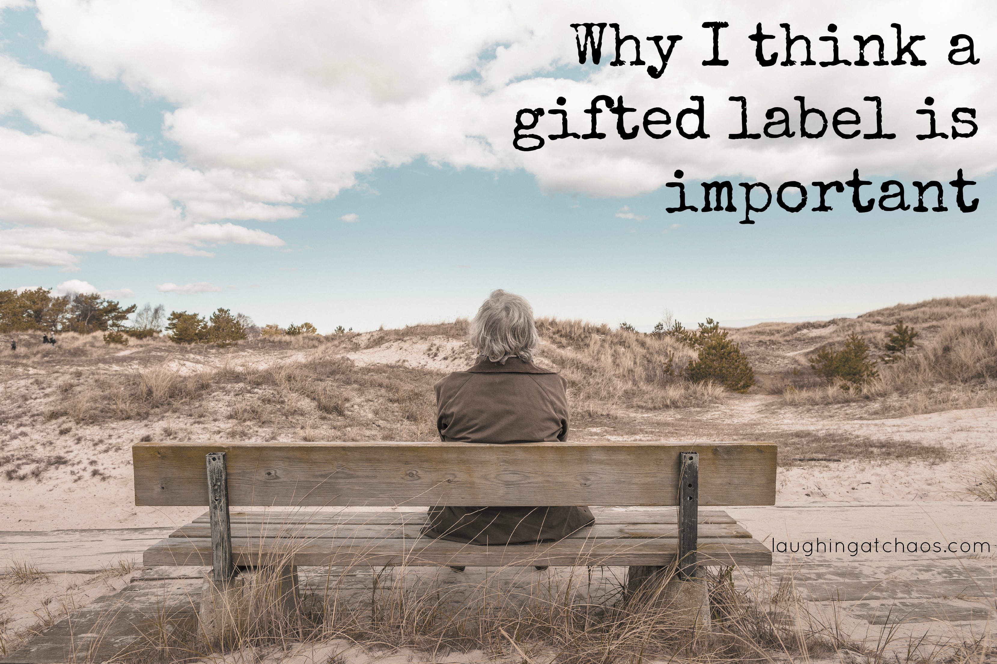 Why I think a gifted label is important