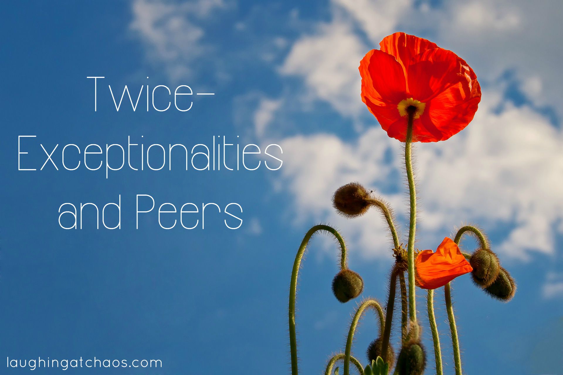 Twice-Exceptionalities and Peers
