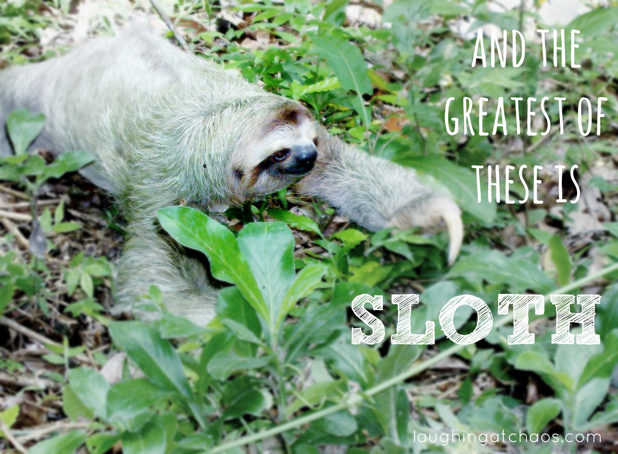 And the greatest of these is sloth
