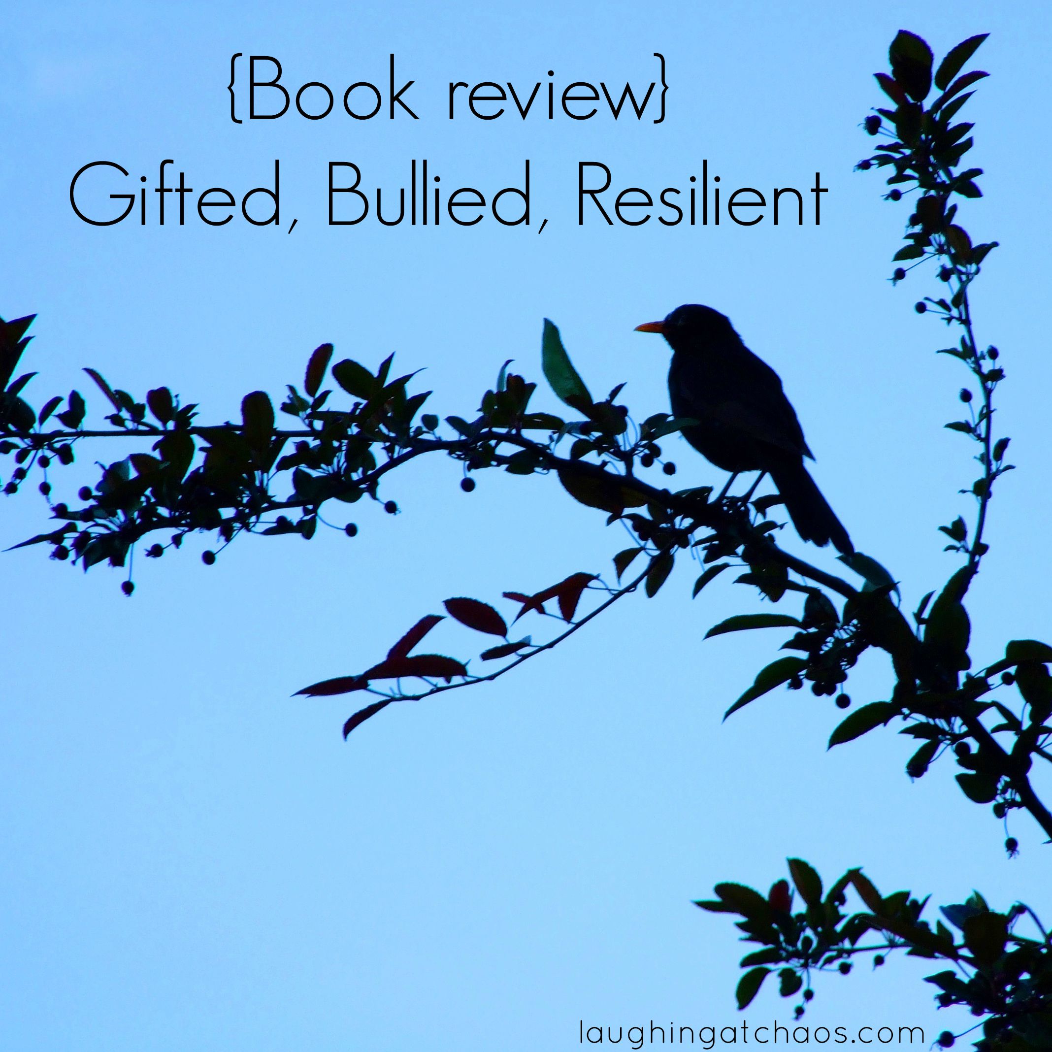 {Book review} Gifted, Bullied, Resilient