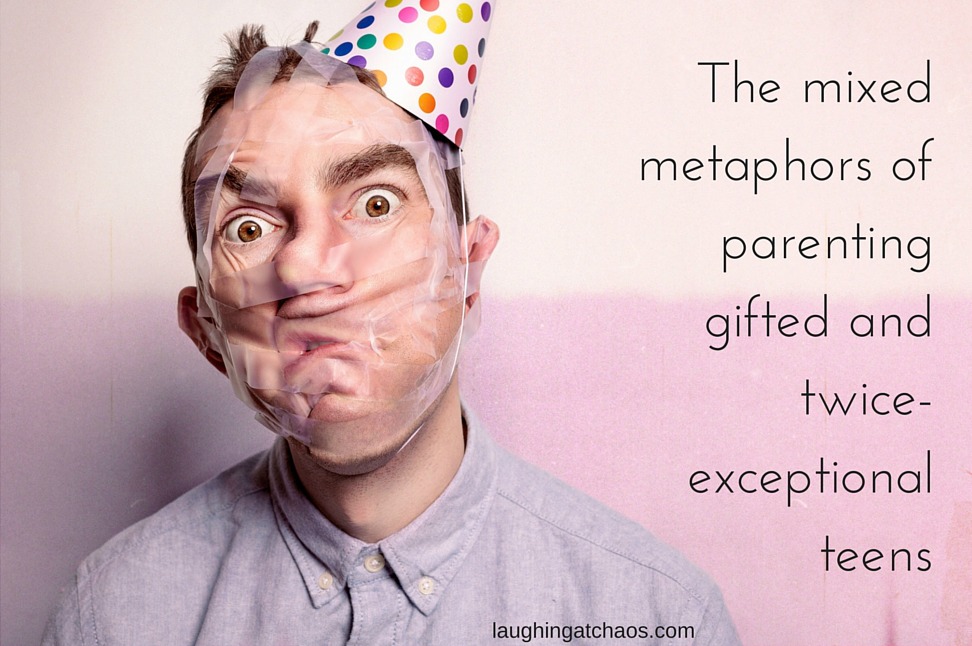 The mixed metaphors of parenting gifted and twice-exceptional teens