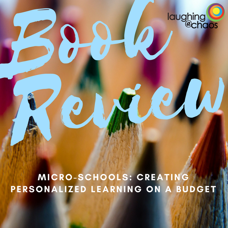 {Book Review} Micro-Schools: Creating Personalized Learning on a Budget