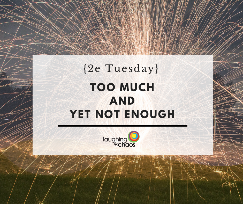 {2e Tuesday} Too much and yet not enough